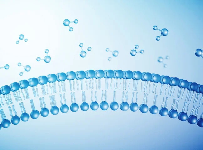 Physicochemical Properties